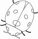 Ladybug Outline Coloring Comments sketch template