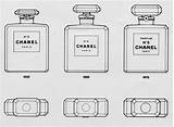 Chanel Perfume N5 Google Template Bottle Salvato Da sketch template