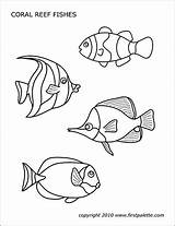 Printable Coral Reef Coloring Pages Fish Sea Ocean Animals Fishes Templates Drawing Animal Firstpalette Creatures Colouring Creature Set Book sketch template