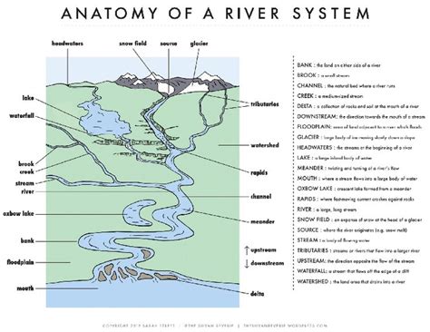 dropbox anatomy   river systempdf simplify  life geography lessons teaching anatomy
