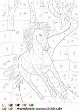 Zahlen Pferd Pferde Wald Ausmalbild Einhorn Ausmalen Erwachsene Nummers Schroor Antje Zebis Zeitaufwand Lektionen sketch template