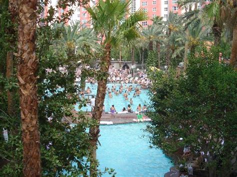 Water Slide Exits Into This Pool Picture Of Flamingo Las