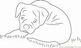 Sad Coloring Dog Pages Coloringpages101 sketch template