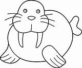 Walrus Animals Coloring sketch template