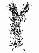 Phoenix Tattoo Drawing Outline Desgin Fenice Tribal Tattoos Tatuaggi Bird Deviantart Per Designs Feminine Disegni Fire Di Tatuajes Tatuaggio Disegno sketch template