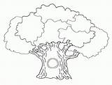Tree Coloring Pages Family Trees Colouring Big Color Printable Bare Banyan Kids Print Getcolorings Popular Getdrawings Coloringhome Sampler sketch template