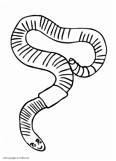 animals coloring pages  worm coloring pages printablecom