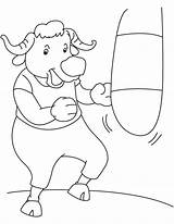 Boxer Bull Coloring sketch template