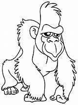 Gorille Gorilla Gorila Colorier Primanyc Ko Afrique sketch template