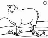 Schaf Cool2bkids Colouring Ausmalbild Templet Shepherds sketch template