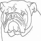 Dog Outline Boxer Coloring Pages Head Print Button Using Grab Feel Also Kids Size sketch template