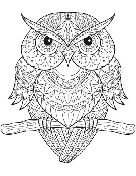 pin  georgina martin  coloring owl owl coloring pages mandala