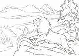 Aslan Narnia Legendary Lion sketch template