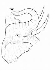 Elefanti Stampare Elefante Pianetabambini Singolarmente Versione sketch template