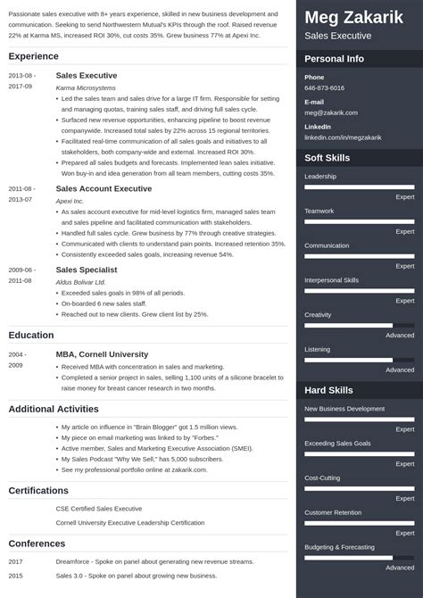 executive style resume template