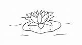 Bunga Sketsa Teratai Menggambar Sederhana Mawar Matahari Mewarnai Tulip sketch template