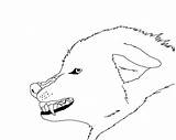 Wolf Outline Face Popular Coloring sketch template