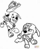 Zuma Paw Patrol Pages Coloring Marshall Colouring sketch template