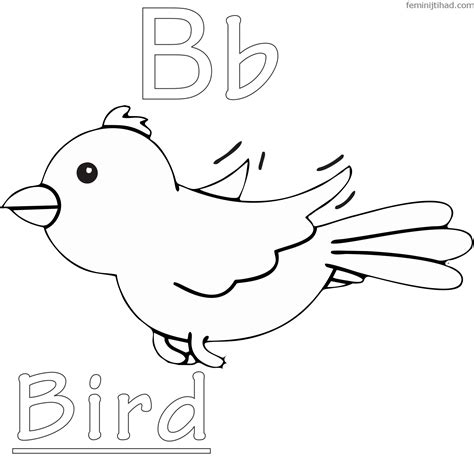 bird coloring pages  preschoolers