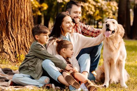 top  dog breeds  family pet friendly house