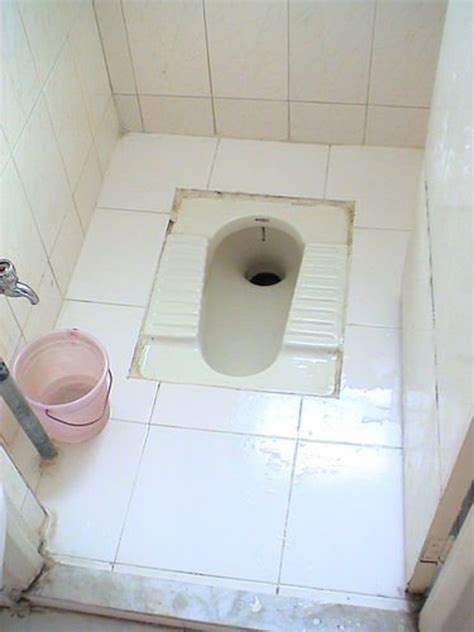 indian toilets     indian toilet hubpages