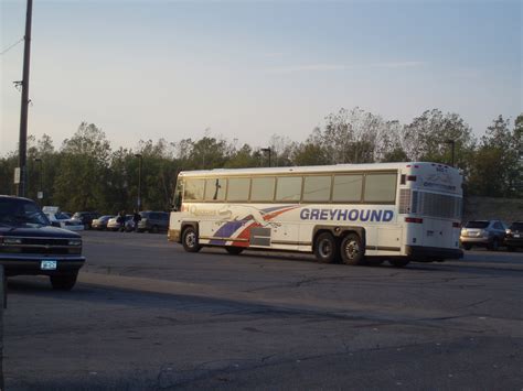 greyhound buses related keywords suggestions greyhound buses long tail keywords