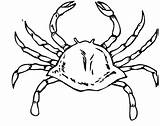 Crab Coloring Pages Crabs Kids Printable Color Drawing Place Coloringpages101 sketch template