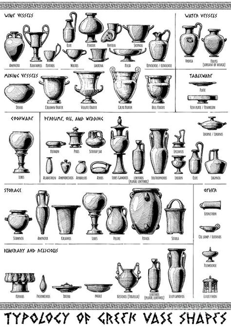 typology  greek vase shapes drawing  alexander babich fine art