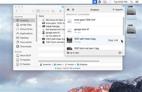 install   dropbox   mac