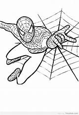 Spiderman Upside sketch template