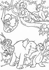 Jungle Coloring Pages Book Kids sketch template
