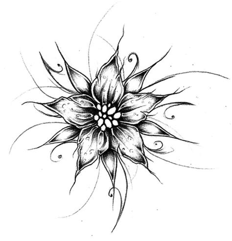 flower designs drawings images sakura flower drawing simple