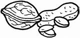 Coloring Peanut Nuts Pages Drawing Walnut Cashew Pistachio Nut Printable Peanuts Colorear Color Bread Basket Getdrawings Nuez Coloriage Snacks Categories sketch template