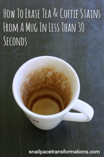 erase coffee tea stains  mugs