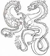 Animaux Hydra Adulte Fantastiques Dragons Animales Fantasticos Drachen Coloriages Fabeltiere Desenhos Fantastici Kraken Adultos Colorir Ausmalbild Dragones Fantásticos Adultes Relajante sketch template