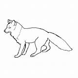Fox Coloring Red Pages Color Printable 72kb 1200px 1200 Index sketch template
