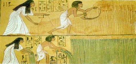 Ancient Egypt Pregnancy Test
