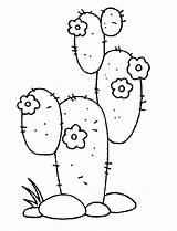 Cacto Cactus Colorironline Onlinecoloringpages sketch template