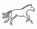 Caballito Cavallo Cheval Cavall Cavalo Colorear Piccolo Desenho Dibuix Disegno Dibuixos Acolore Stampare Coloritou sketch template