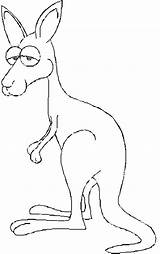 Canguri Colorat Kangourou Animale Cangur Planse Imagini Kangaroo Humoristique P01 Kangourous Gratuit Primiiani Disegni Bambini Desene Carte Kaenguru Copii Pentru sketch template