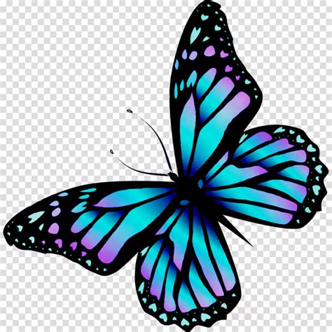 butterfly drawing images    clipartmag