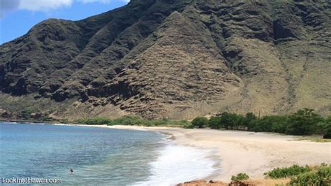 Best Snorkeling Beaches On Oahu Information On Oahu Hawaii