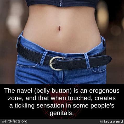 Weird Facts — The Navel Belly Button Is An Erogenous