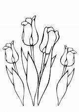 Colorat Primavara Tulpen Planse Fiori Desene Tulipano Lente Kleurplaten Fiore P132 Blumen Bloemen Flori Tekenen Natura Fise Fruhling Copaci Desenat sketch template
