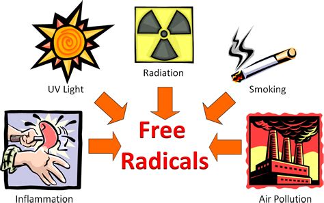 radicals oxidative stress nutrition flexbook