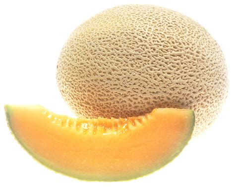 cantaloupe png image purepng  transparent cc png image library