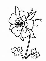 Columbine Colorado Coloring Pages Flower Flowers Drawing Blue State Tree Mexico Color Recommended Printable Gif Getdrawings Choose Pdf Board Adult sketch template