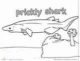 Shark Coloring Pages Week Sharks Prickly Horn Activities sketch template