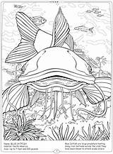 Coloring Pages River Catfish Mississippi Freshwater Fish Getdrawings Getcolorings Colorings sketch template