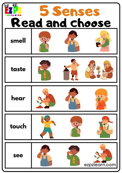 senses read  choose worksheet  kindergarten  esl students